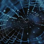 ​A close-up of a detailed spider web covered in glistening water droplets against a dark blue background, for the horror movie Infested Ending Explained