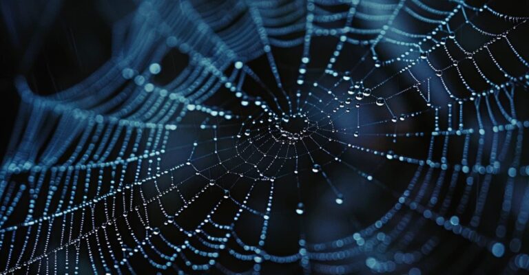​A close-up of a detailed spider web covered in glistening water droplets against a dark blue background, for the horror movie Infested Ending Explained